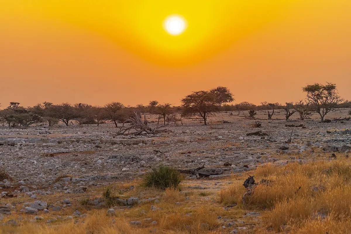 Etosha National Park wildlife destination