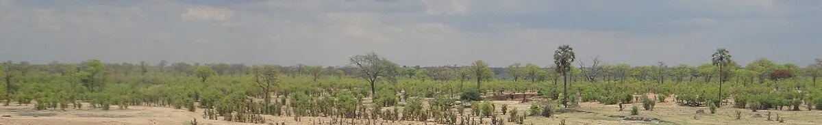Hwange National Park wildlife destination