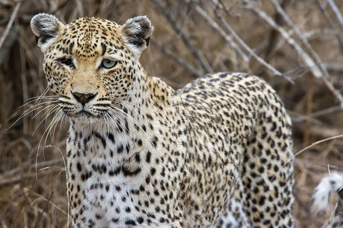 Khosrov Forest State Reserve wildlife destination