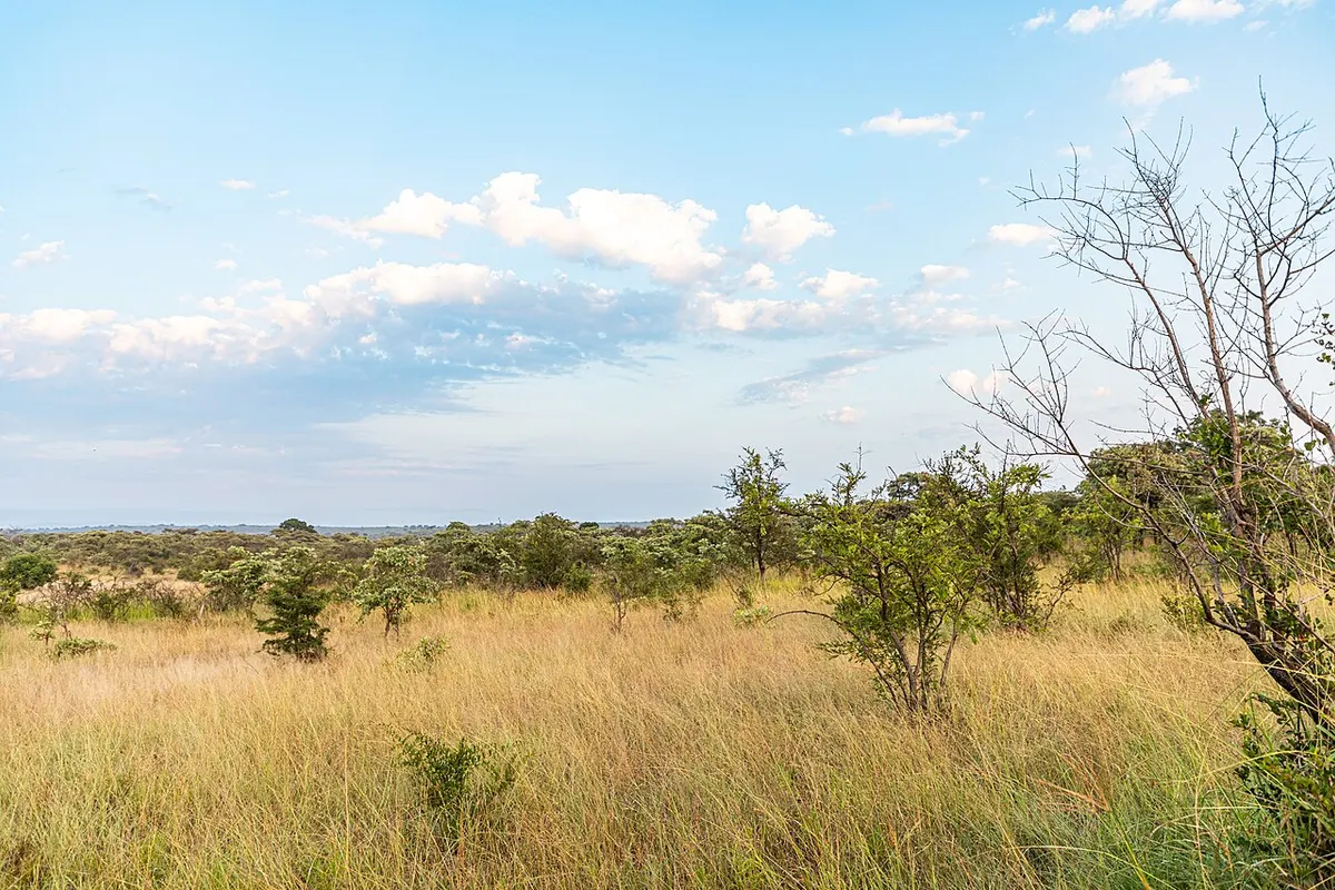 Kruger National Park wildlife destination
