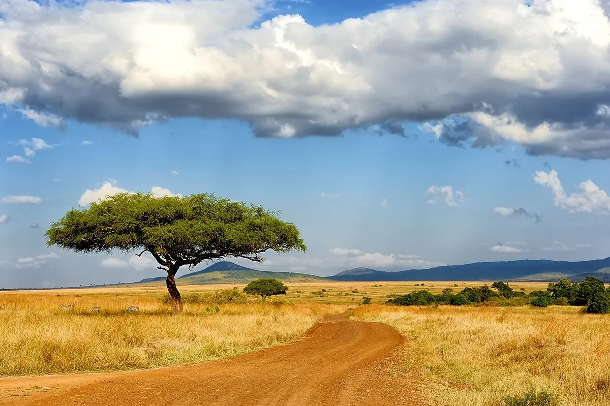 Maasai Mara wildlife destination