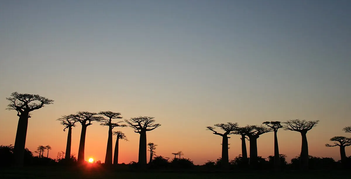 Western Madagascar wildlife destination