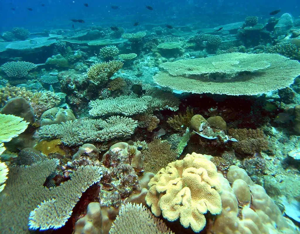 Mohéli National Park wildlife destination