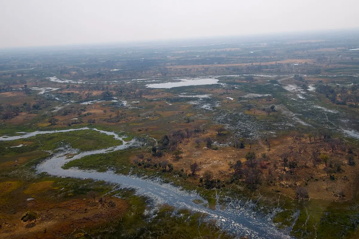 Okavango Delta wildlife destination