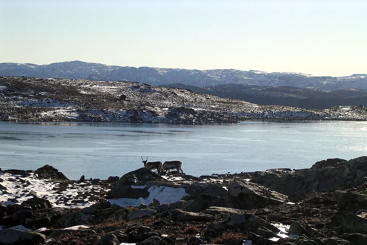 Putorana Plateau wildlife destination