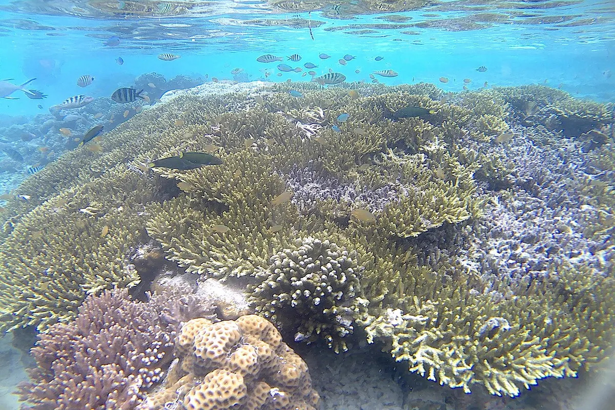 Raja Ampat wildlife destination