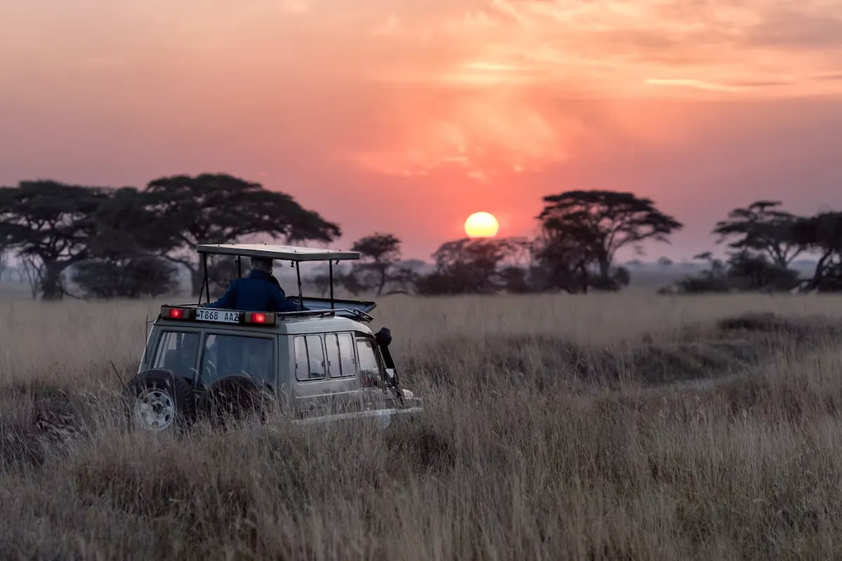 Serengeti wildlife destination