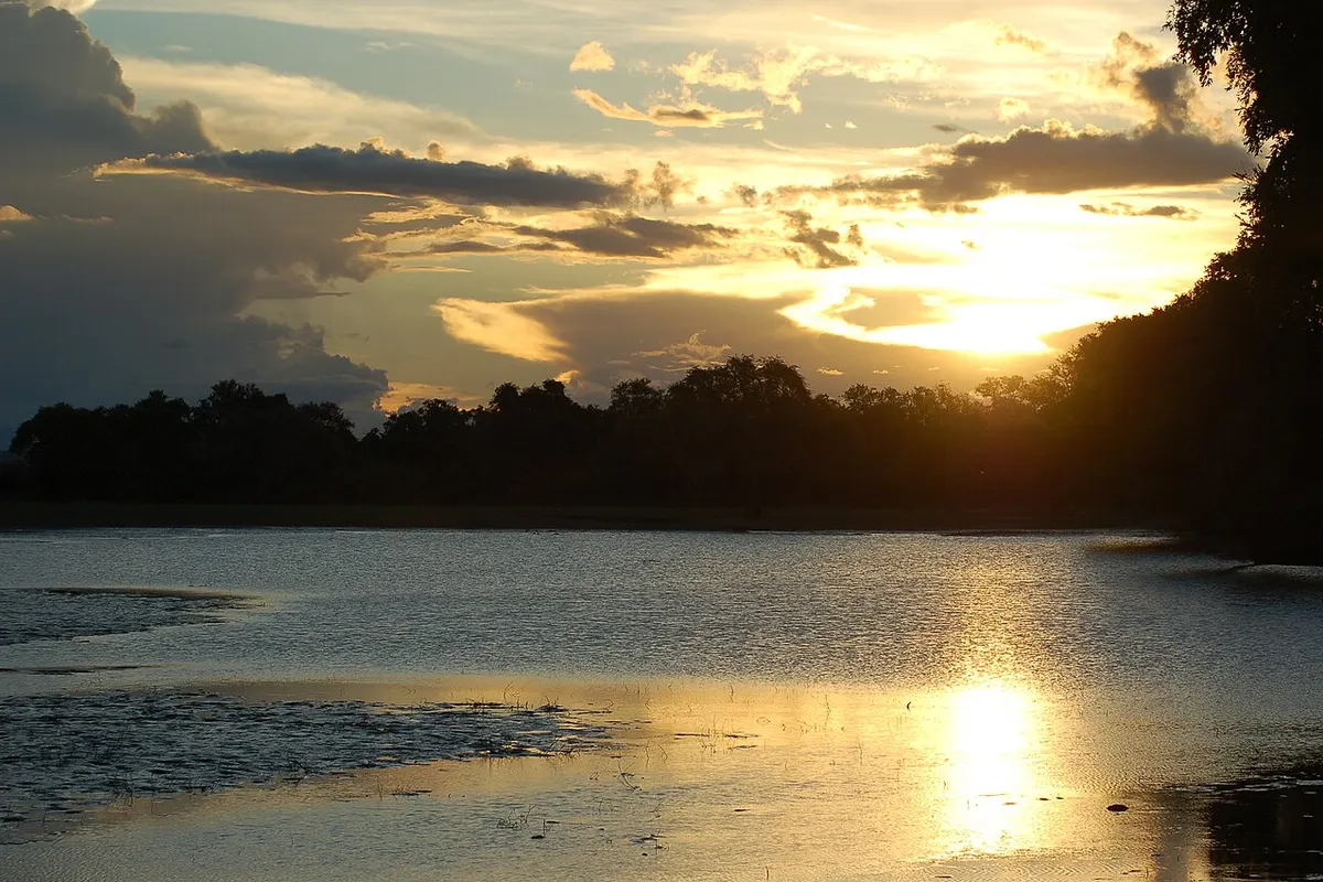 South Luangwa National Park wildlife destination