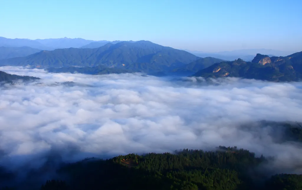 Wuyishan National Park wildlife destination