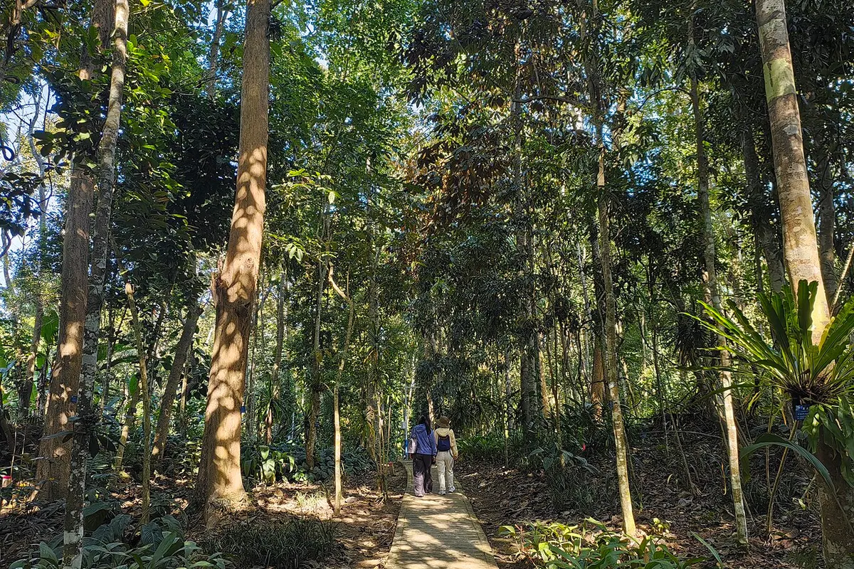 Xishuangbanna Rainforest wildlife destination